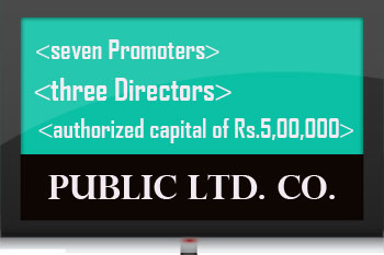 Public limited Company